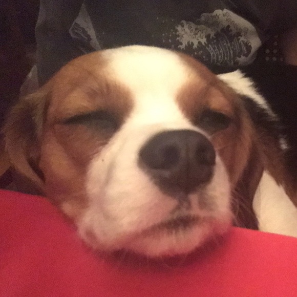 Welcome to KoliesKloset - Picture 1 of 1